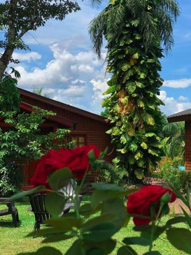 Terra Lodge - Relax & Naturaleza