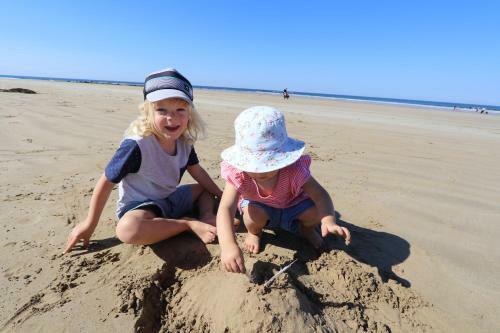 Anglesea Beachfront Family Caravan Park