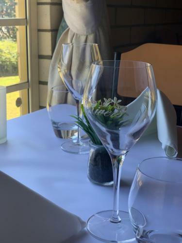 Riverland Motor Inn