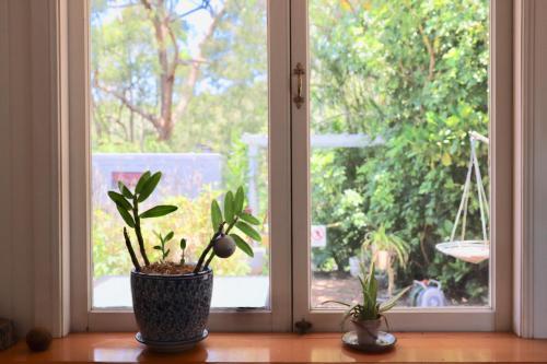 Hostal Hilltop On Tamborine