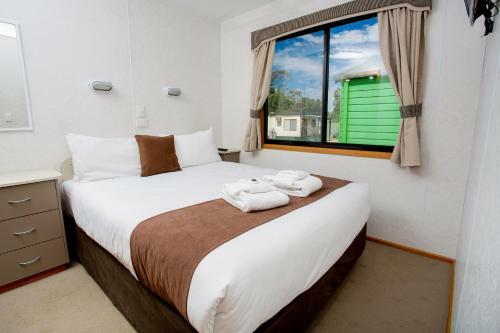 Big4 Shepparton Park Lane Holiday Park