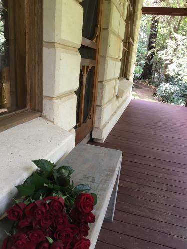Villa Fernglen Forest Retreat