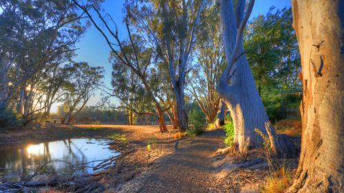 Moama Riverside Holiday Park