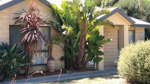 Aparthotel Phillip Island Surf And Circuit Accommodation