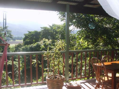 Mossman Gorge Bed And Breakfast
