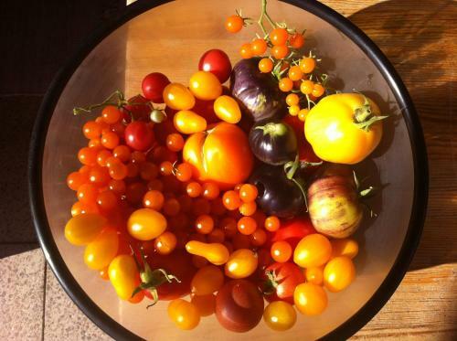 Apartamento Rizzi Haus