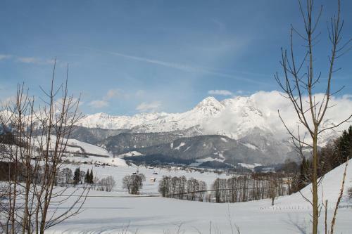Chalet Die M�hle