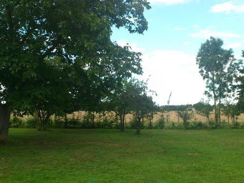 Spacious Apartment In Opperode With Terrace