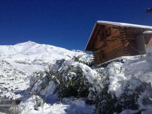 Lodge La Araucaria