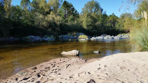 Lodge Buenavista Caba�as