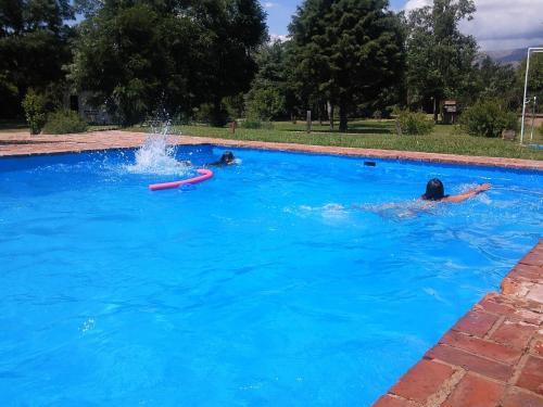 Hotel Y Caba�as Green Park