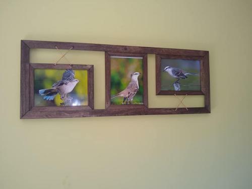 Apartamento Las Calandrias