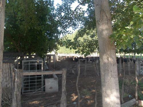 Agroturismo Casa Rural La Colmena