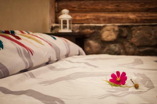 Lodge Sol Del Aconcagua