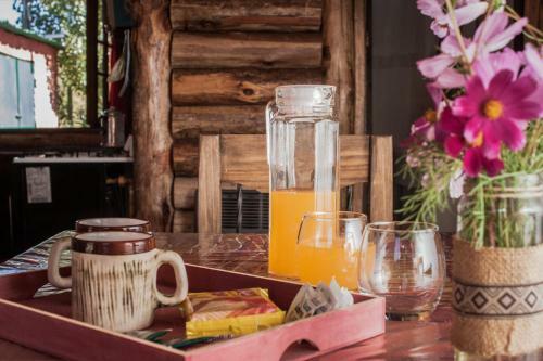 Lodge Sol Del Aconcagua