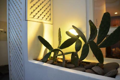 Apartamento De La Calle 45