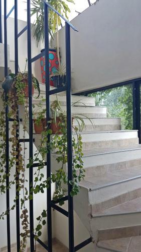 Bed & Breakfast Casa Flores