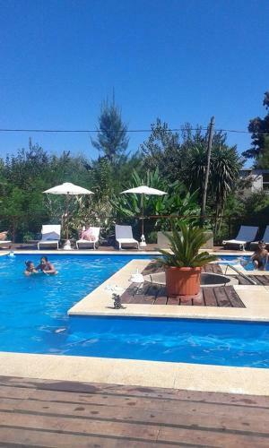 Hostal Guest House Peter Flanders