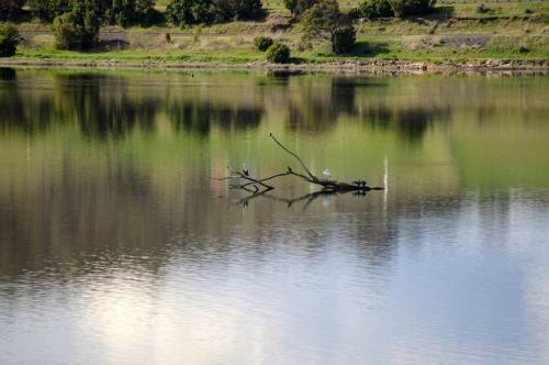 Bed & Breakfast La Riviera