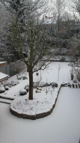 B&B Guesthouse Begijnhof