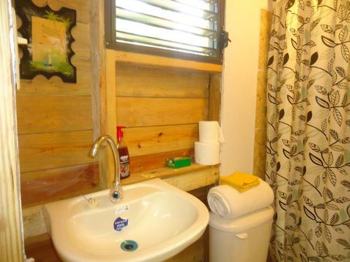 Belmopan Tiny Houses