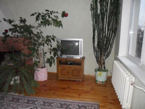 Hostal Guest House Raisa