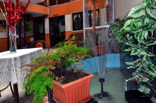 Hotel Fuentes
