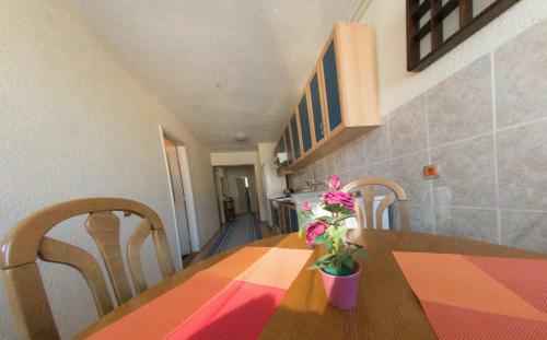 Apartment Malina