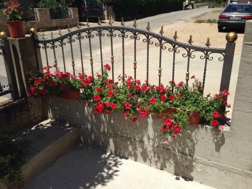 Hostal Pansion Speranza Me?ugorje