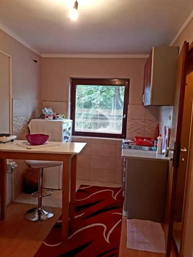 Apartment Iva