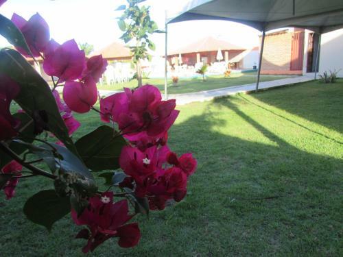 Hostal Pousada Tropical