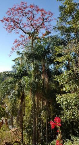 Hostal Pousada Pedacinho Do C�u