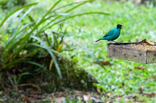 Bed & Breakfast Sitio Namaste Paraty