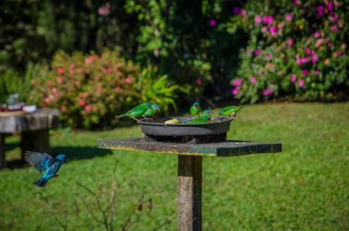 Bed & Breakfast Rancho Do Pav�o Cama E Caf�
