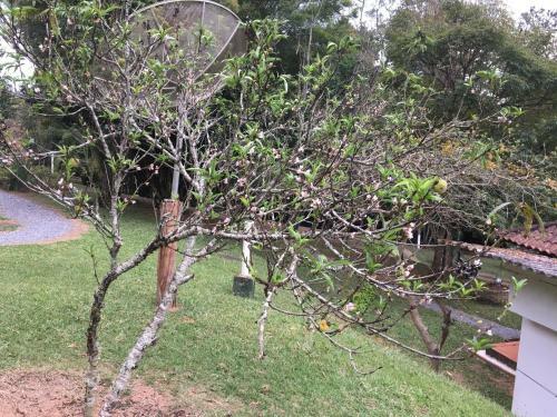 Hostal Pousada Cant�o