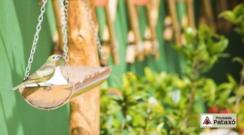 Hostal Pousada Patax�