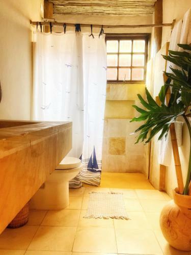 Casa Da Arquiteta Guest House