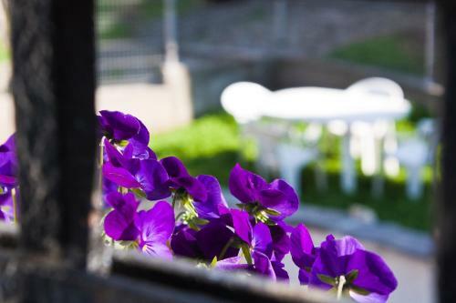 Hostal Ulpia House