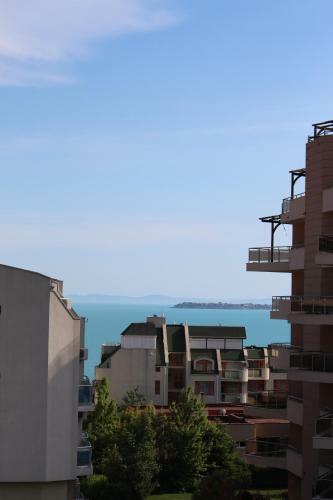 Apartment In The House Of Informat