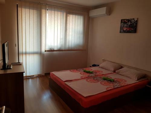 Apartament Tomi