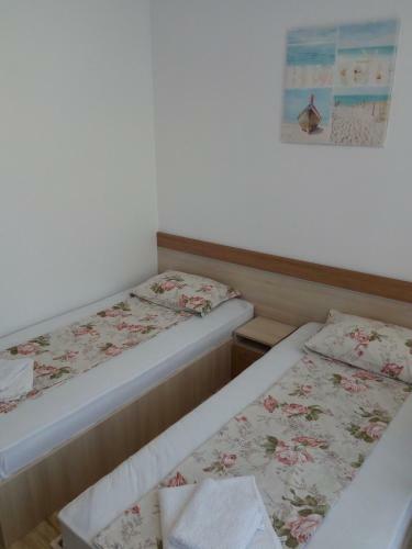 Apartments In Black Sea Star Complex