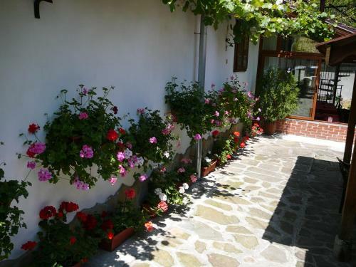 Apartamentos A I Pak Doidoh Houses