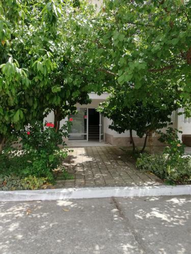 Apartments Bravo 1-vichevi