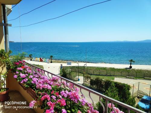 Homestay Kostadinov