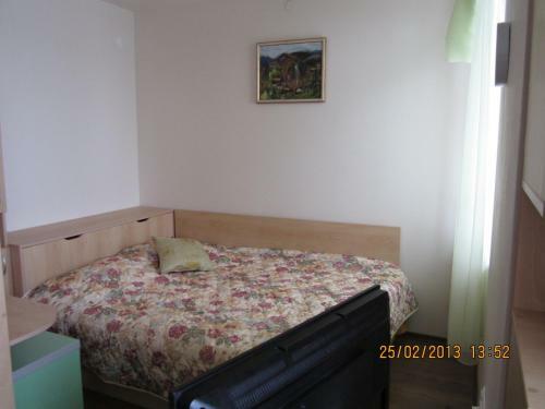 Apartment In Pine Hills Pamporovo