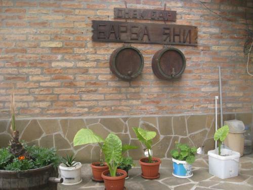 Hotel Barba Yani