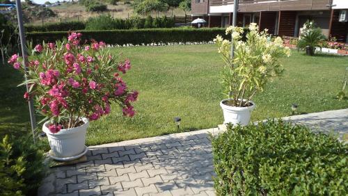 Apartments In Sunny Hill 3 Complex