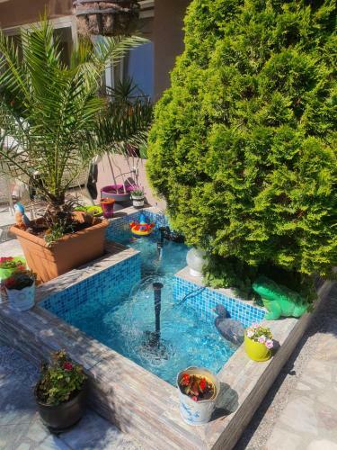 Venis Hotel