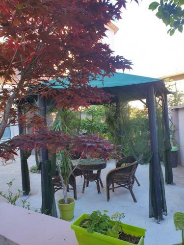 Venis Hotel