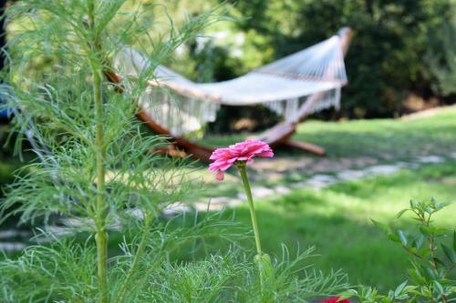 Hostal Golden Horn Guest House